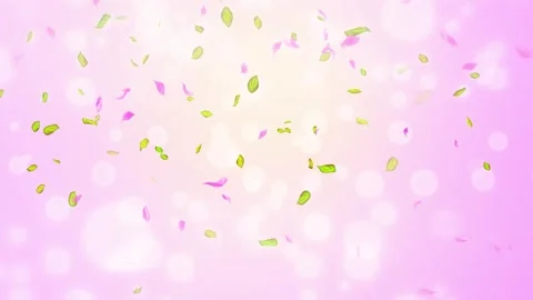 Loop Spring cherry blossom petals and leaves, nature gradient design element Stock Footage 277790507