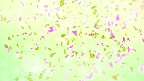 Loop Spring cherry blossom petals and leaves, nature gradient design element Stock Footage 277790551