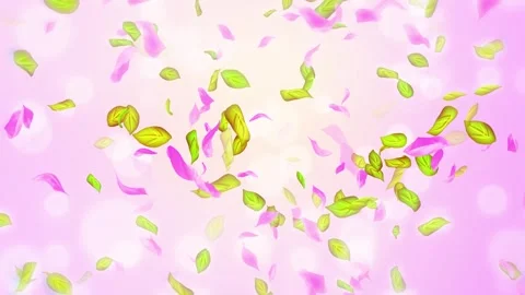 Loop Spring cherry blossom petals and leaves, nature gradient design element Stock Footage 277790636
