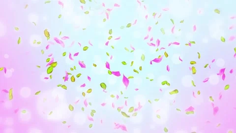 Loop Spring cherry blossom petals and leaves, nature gradient design element Stock Footage 277790689
