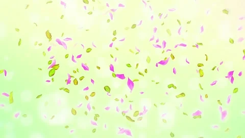 Loop Spring cherry blossom petals and leaves, nature gradient design element Stock Footage 277790705