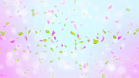 Loop Spring cherry blossom petals and leaves, nature gradient design element Stock Footage 277791311