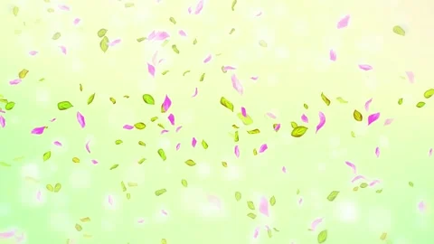 Loop Spring cherry blossom petals and leaves, nature gradient design element Stock Footage 277791319