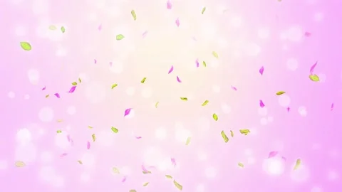 Loop Spring cherry blossom petals and leaves, nature gradient design element Stock Footage 277791333