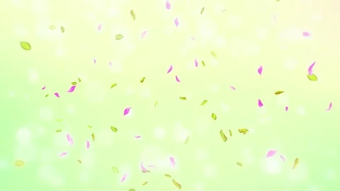 Loop Spring cherry blossom petals and leaves, nature gradient design element Stock Footage 277791355
