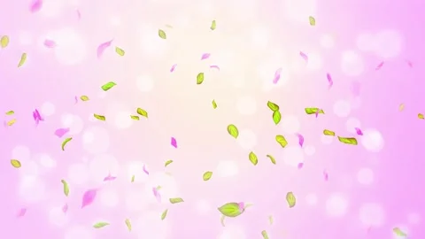 Loop Spring cherry blossom petals and leaves, nature gradient design element Stock Footage 277791368