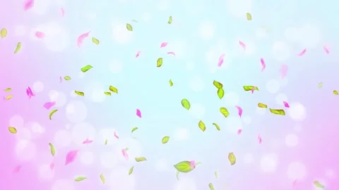 Loop Spring cherry blossom petals and leaves, nature gradient design element Stock Footage 277791381