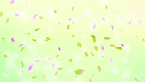 Loop Spring cherry blossom petals and leaves, nature gradient design element Stock Footage 277791404