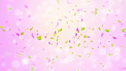 Loop Spring cherry blossom petals and leaves, nature gradient design element Stock Footage 277791608