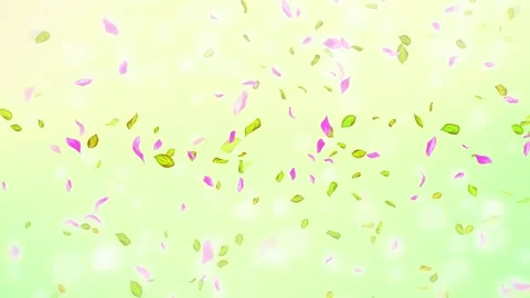 Loop Spring cherry blossom petals and leaves, nature gradient design element Stock Footage 277791641