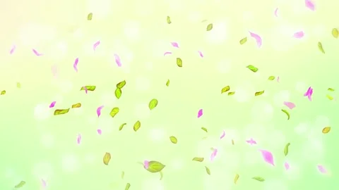 Loop Spring cherry blossom petals and leaves, nature gradient design element Stock Footage 277791806
