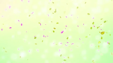 Loop Spring cherry blossom petals and leaves, nature gradient design element Stock Footage 277792012