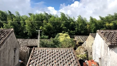 Loop of A static timelapse of elephants cloudy sky passing through Video stock 125591830
