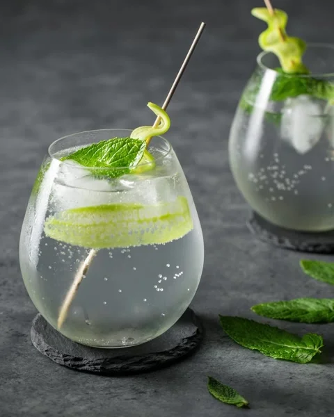 Loop Stop Motion of Gin and Tonic with Bubbles, Cucumber and Fresh Mint Stock Footage 208658045