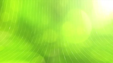 Loop sunny green nature bokeh with digital lines motion background Видео 340238432
