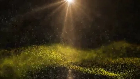 Loop transformation in the form of luminous particles with rays Video stock 98247341