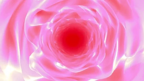 LOOP - Tunnel mindful Golden Rose Stock Footage 69089526