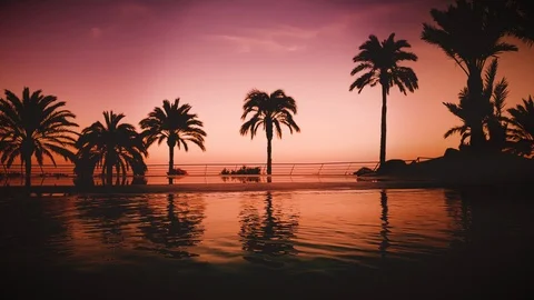 Loop Video / Amazing pool at a Luxury resort, Flamingo Color Grading 4K Vídeo Stock 125032834