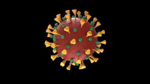 Loop Virsu, Corinavirus  alpha Video stock 129257368