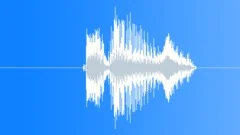 Loop Vocal Funk Yell8_110bpmSound Effect