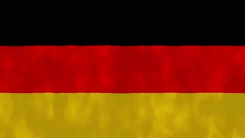 Loop Waving Germany Flag With Fabric Texture, National Flag Of Germany Stock Footage 170296178