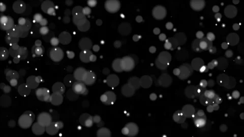 Loop white bokeh particles flow on black abstract background Stock-Footage 295123823