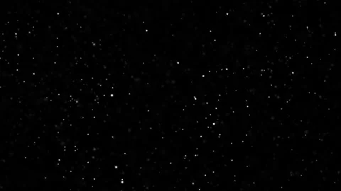 Loop white dust star particles animation on black background Stock Footage 313531328