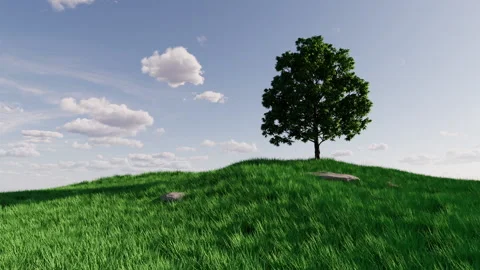 Loop of wind sway on tree and grass field 库存影片 229948018