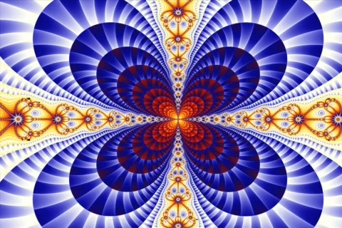 Loop1 Stock Footage 366366