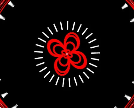 Loop11 Stock Footage 5503241