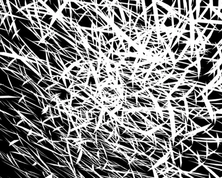 Loop40 Stock Footage 5419453