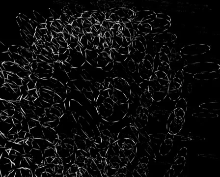 Loop41 Stock Footage 5418787