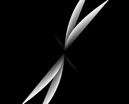 Loop47 Stock Footage 5417600