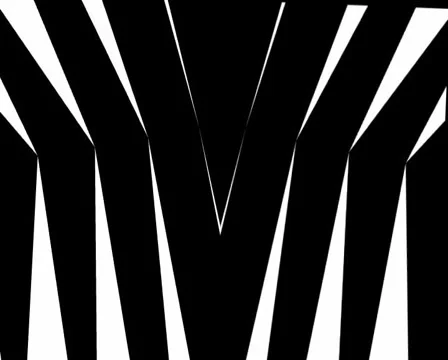 Loop50 Stock Footage 5503071