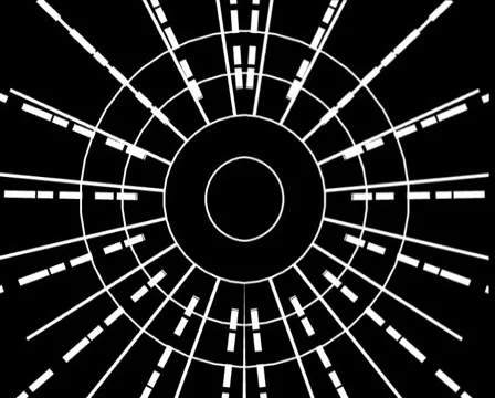 Loop58 Stock Footage 5502719