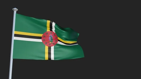 Loopable 3D flag animation of Dominica with Alpha Channel and Transparency fo 스톡 동영상 90921989