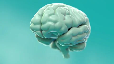 Loopable 3D Neural Network Expansion and Contraction for Cognitive Balance Stock Footage 294316874