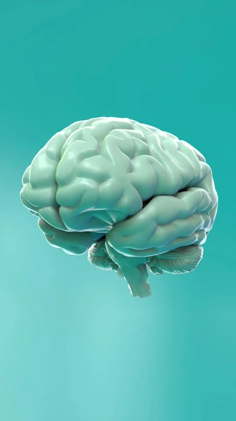 Loopable 3D Neural Network Expansion and Contraction for Cognitive Balance Stock Footage 294316924
