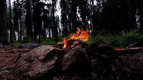 Loopable 4K campfire in Dark Forest - Crackling Fire and Raven Screams Stock Footage 243133335