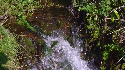 Loopable 4K Small Stream Flowing Over Rocks with Natural Audio Cornwall UK Stock Footage 332695585