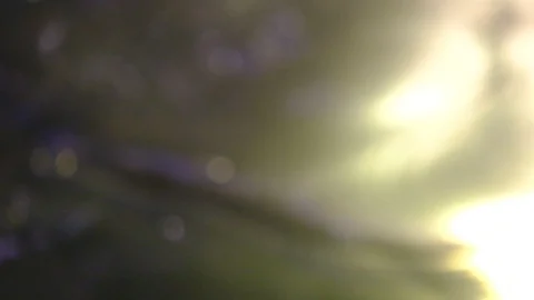 Loopable Abstract Background White Bokeh Circles Stock Footage 111071491