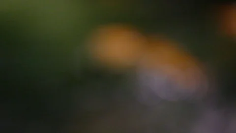 Loopable Abstract Background White Bokeh Circles Stock Footage 111071514