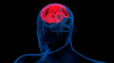 Loopable analysis of the human brain Video stock 12448266