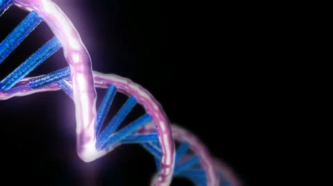 Loopable Animated 3D DNA Helix Video stock 22938423