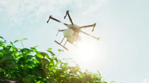 Loopable animation of drone spraying health plant products on a plantation. 4K Stock Footage 133387065