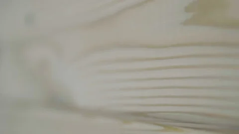 Loopable background animation of wooden planks Stock Footage 91174142