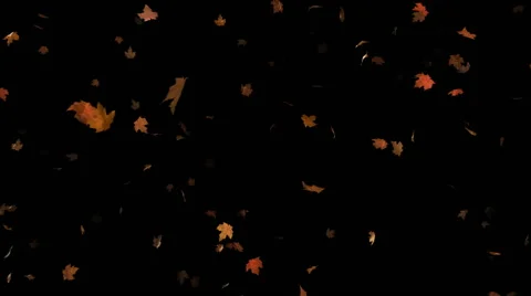 Loopable Blowing Leaves Background Video stock 65432968