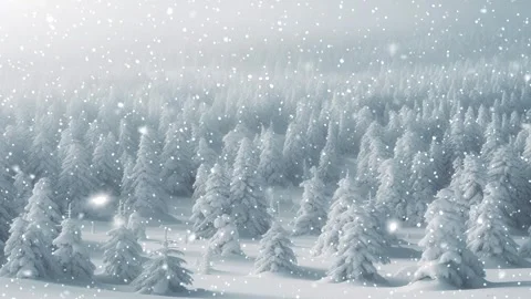 Loopable Christmas snow. Christmas forest. Stock Footage 262507715