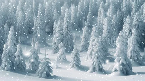 Loopable Christmas snow. Christmas forest. Stock Footage 262507722