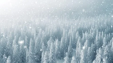 Loopable Christmas snow. Christmas forest. Stock Footage 262507723
